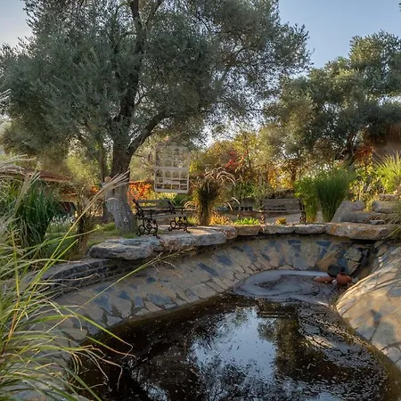 Mucho Life Farm stay