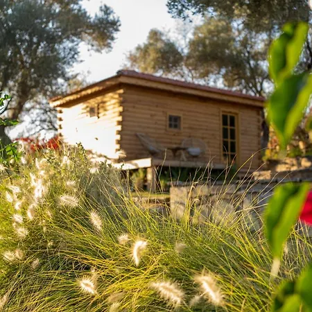 Mucho Life Farm stay