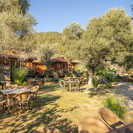 Mucho Life Farm stay
