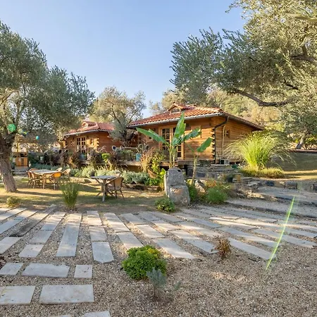 Farm stay Mucho Life Bodrum