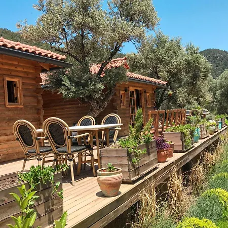 Mucho Life Farm stay